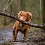 jamie-street-uNNCs5kL70Q-unsplash-324×400