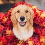 464129116_18467230963027226_4433324646198940946_n