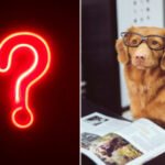 AskAnExpert_Montage-300×214