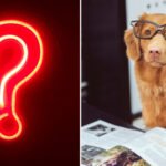 AskAnExpert_Montage-324×400