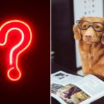 AskAnExpert_Montage-696×496