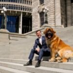 DavidSeymour_Leo-324×400