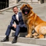 DavidSeymour_Leo_cropped-696×351