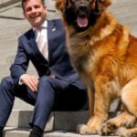 DavidSeymour_Leo_cropped1-324×400