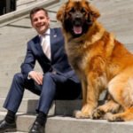 DavidSeymour_Leo_cropped1-768×317