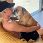 Supplied_Feature_RoccoJamieson_DogHome