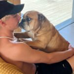 Supplied_RoccoJamieson_DogHome1