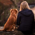 jamie-street-SrgELjlFlY0-unsplash1-1024×564