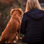 jamie-street-SrgELjlFlY0-unsplash1-324×400