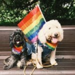 jay-wennington-abW5OtXSDXE-unsplash-1068×712