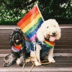 jay-wennington-abW5OtXSDXE-unsplash