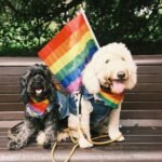 jay-wennington-abW5OtXSDXE-unsplash-1536×1024