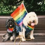 jay-wennington-abW5OtXSDXE-unsplash-2048×1365