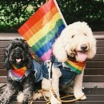 jay-wennington-abW5OtXSDXE-unsplash-324×400