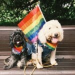 jay-wennington-abW5OtXSDXE-unsplash-485×360