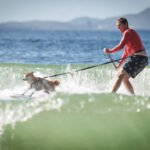 482984357_493132700537031_1772130037177152008_n