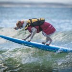 482985970_493132820537019_8965664717815067253_n