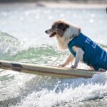 482989574_493133140536987_2539943360832079406_n