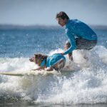 483896454_492764400573861_1702544346448182917_n