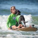 484066441_492763737240594_6113630206133120766_n