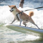 484070519_493132800537021_6251179543610274019_n