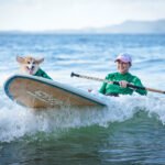 484075727_492764197240548_2978900140728999197_n