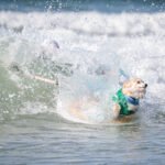 484184623_493133340536967_6662913992436821845_n