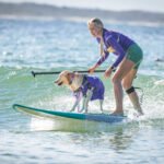 484325327_493133310536970_3066977469819398540_n