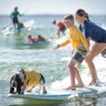 484371888_492763720573929_5661141417932863054_n