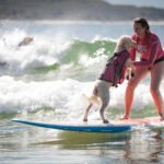 484375762_493132780537023_6025384943632210208_n