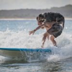 484515139_492764040573897_8251659835324180098_n