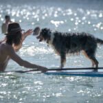 484517275_492763633907271_7121784730787781353_n