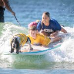 484565649_493133137203654_3438259788963524155_n