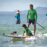 484790124_492764027240565_1151984619563967766_n