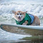 484804700_492766923906942_1056605362539017531_n