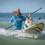 484808077_492764590573842_9092314994045372398_n