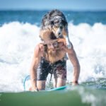 484942222_493133347203633_6893450723499267140_n