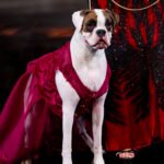New York Fashion Week Powered By Art Hearts Fashion – February 15